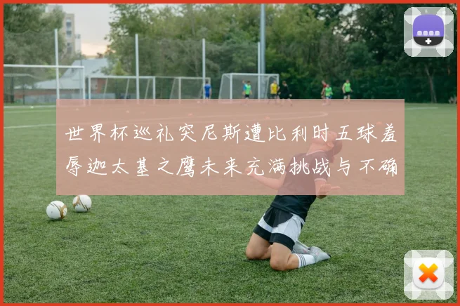 世界杯巡礼突尼斯遭比利时五球羞辱迦太基之鹰未来充满挑战与不确定性