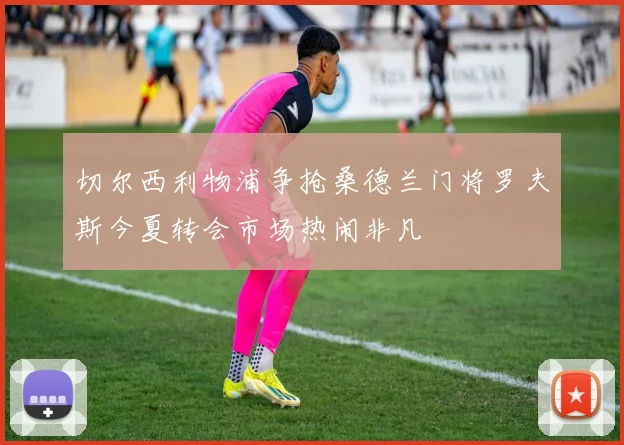 切尔西利物浦争抢桑德兰门将罗夫斯今夏转会市场热闹非凡