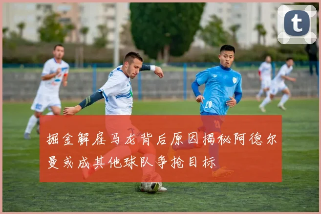 掘金解雇马龙背后原因揭秘阿德尔曼或成其他球队争抢目标